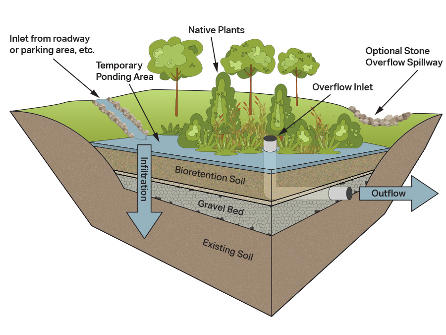 Cutaway illustration showing components of a typical bioretention pond.
